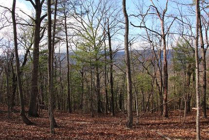 Land for sale in Shenandoah County, Virginia