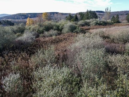 Undeveloped Land for sale in Steuben County, New York