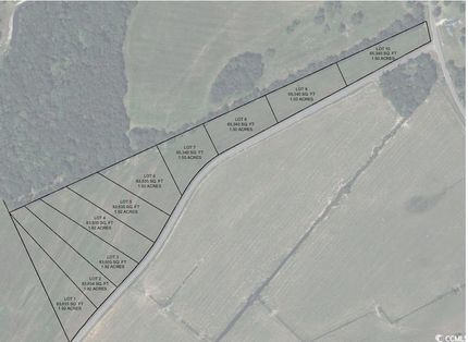 Undeveloped Land for sale in Horry County, South Carolina