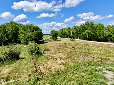 Undeveloped Land for sale in Warren County, Mississippi