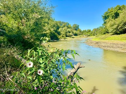 Undeveloped Land for sale in Sharkey County, Mississippi