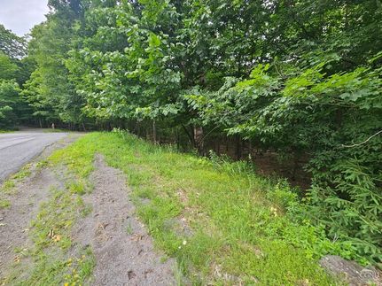 Undeveloped Land for sale in Greene County, New York