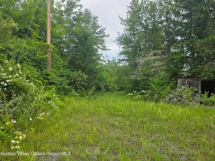 Undeveloped Land for sale in Greene County, New York