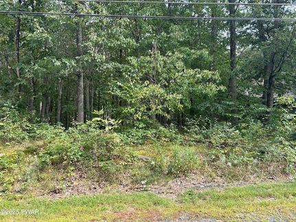 Land for sale in Pike County, Pennsylvania