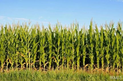 Undeveloped Land for sale in Huntington County, Indiana