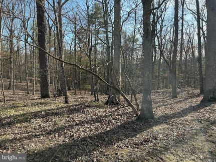 Land for sale in Hampshire County, West Virginia