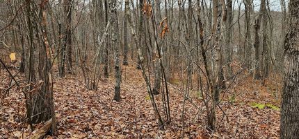 Homesite for sale in Litchfield County, Connecticut