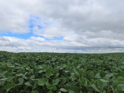 Farm and Ranch for sale in Grand Forks County, North Dakota