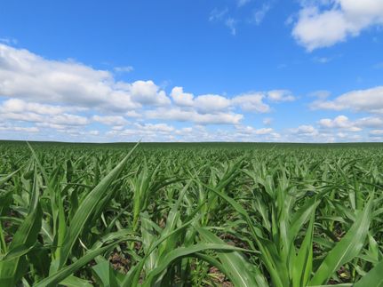 Farm and Ranch for sale in Cass County, North Dakota