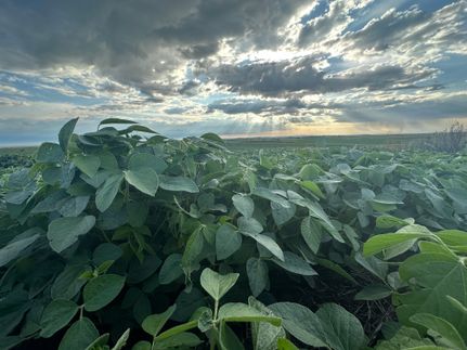 Land for sale in LaMoure County, North Dakota