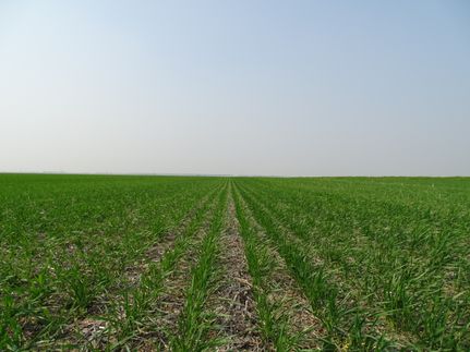 Farm and Ranch for sale in Wells County, North Dakota