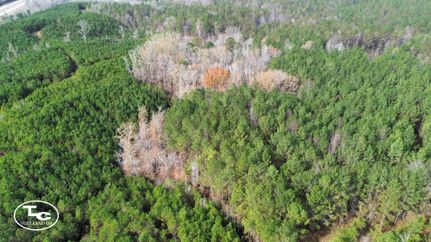 Land for sale in Pickens County, Alabama