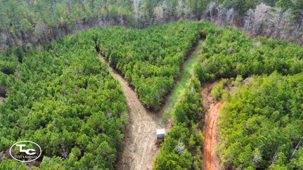 Land for sale in Pickens County, Alabama