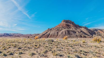 Land for sale in Navajo County, Arizona