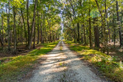 Land for sale in Charleston County, South Carolina
