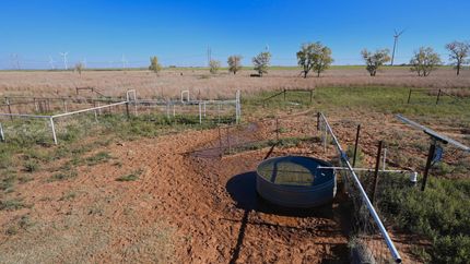 Land for sale in Wilbarger County, Texas