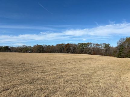 Land for sale in Monroe County, Georgia