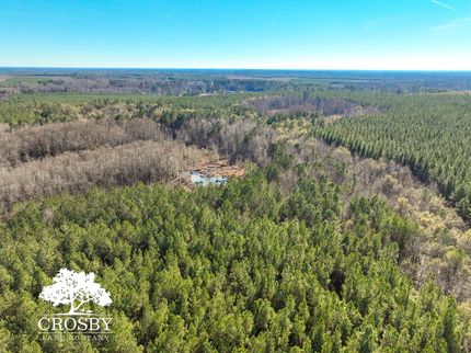 Land for sale in Allendale County, South Carolina
