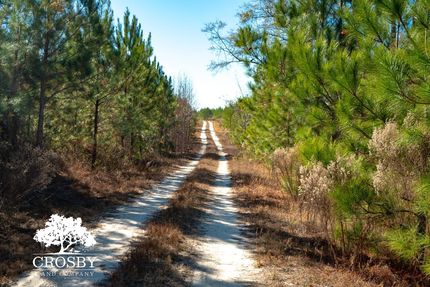Land for sale in Allendale County, South Carolina