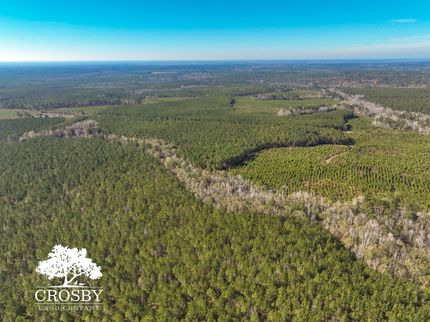Land for sale in Allendale County, South Carolina