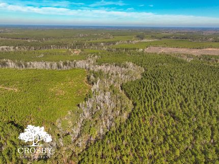 Land for sale in Allendale County, South Carolina