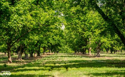 Land for sale in Hinds County, Mississippi