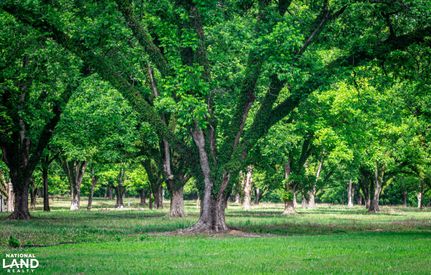 Land for sale in Hinds County, Mississippi