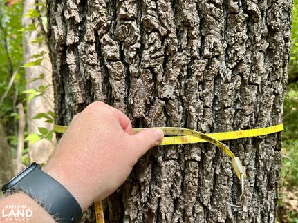 Land for sale in Wilcox County, Alabama