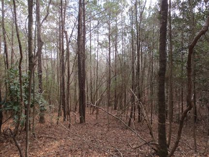 Land in Lawrence County, Mississippi