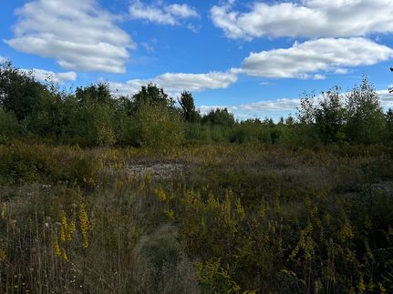 Land for sale in Waldo County, Maine