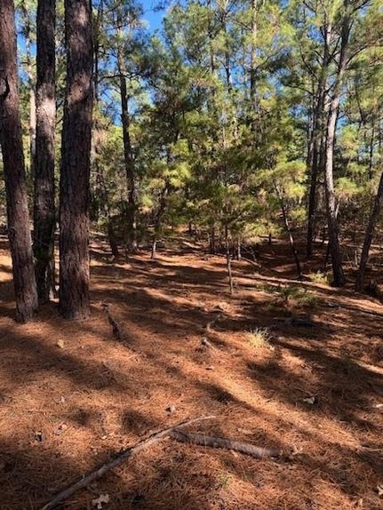 Undeveloped Land for sale in Bastrop County, Texas