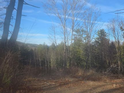 Land for sale in Windsor County, Vermont