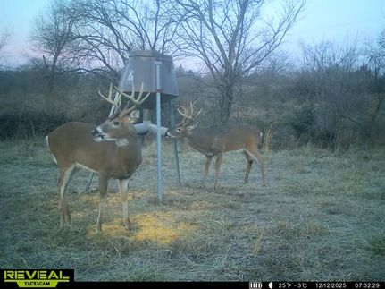 Land for sale in Osage County, Kansas