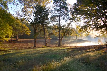 Land for sale in Fayette County, Tennessee