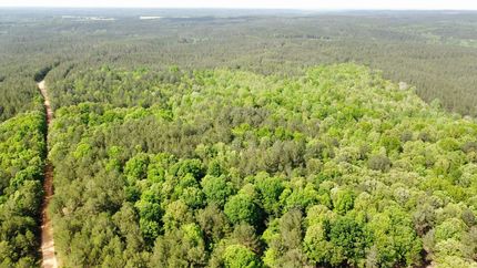 Hunting Property for sale in Tishomingo County, Mississippi