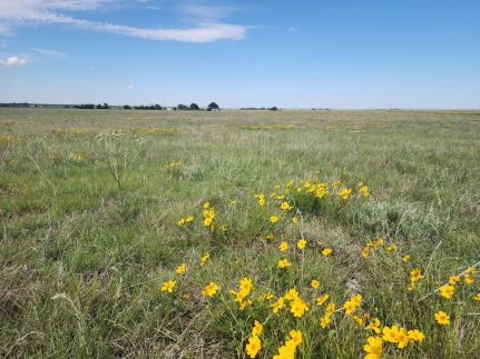 Land for sale in Elbert County, Colorado
