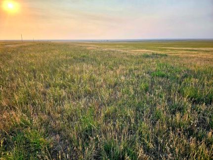 Farm and Ranch for sale in Adams County, Colorado