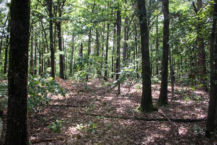 Land for sale in Delaware County, Oklahoma