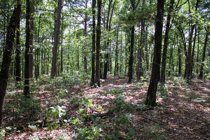 Land for sale in Delaware County, Oklahoma