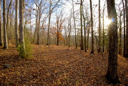 Land for sale in Madison County, Arkansas