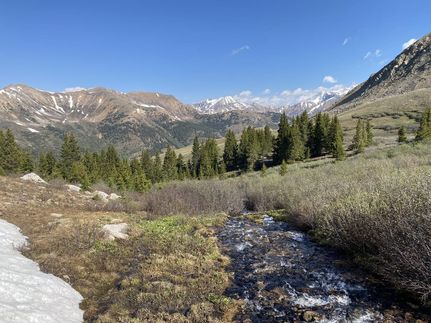 Land for sale in Chaffee County, Colorado