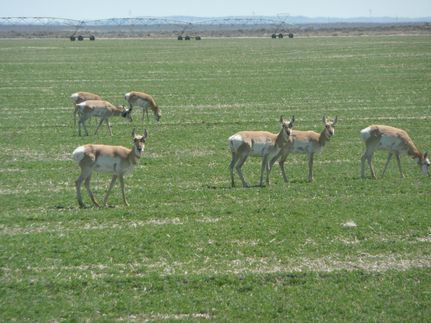 Recreational Property for sale in Lake County, Oregon