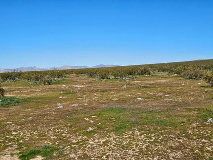 Undeveloped Land for sale in Kern County, California