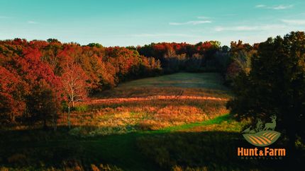 Land for sale in Hardin County, Illinois