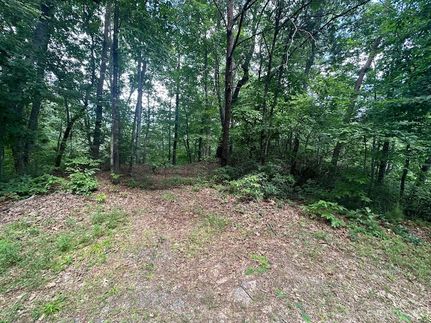 Land for sale in Rutherford County, North Carolina