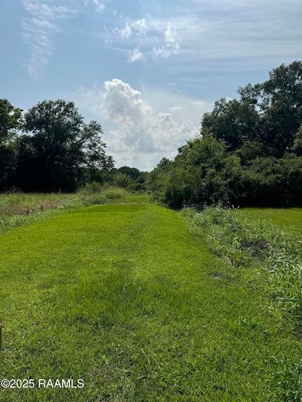 Undeveloped Land for sale in Acadia Parish, Louisiana
