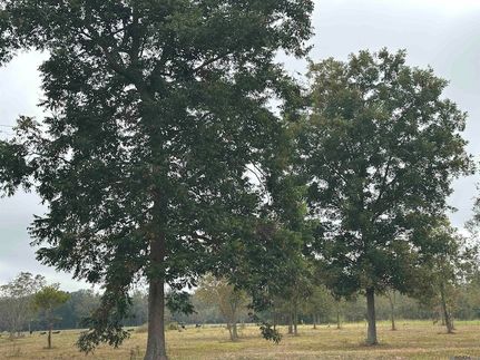 Undeveloped Land for sale in Pointe Coupee Parish, Louisiana