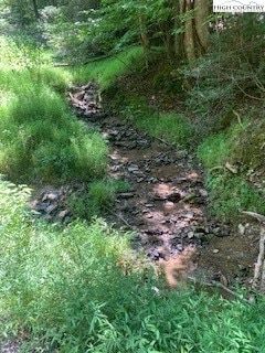 Land for sale in Watauga County, North Carolina