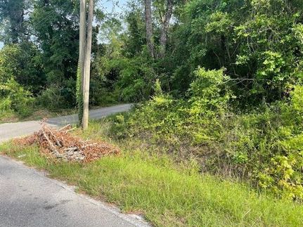 Undeveloped Land for sale in Leon County, Florida