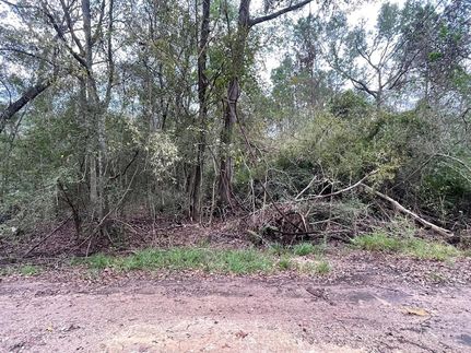 Undeveloped Land for sale in Harris County, Texas